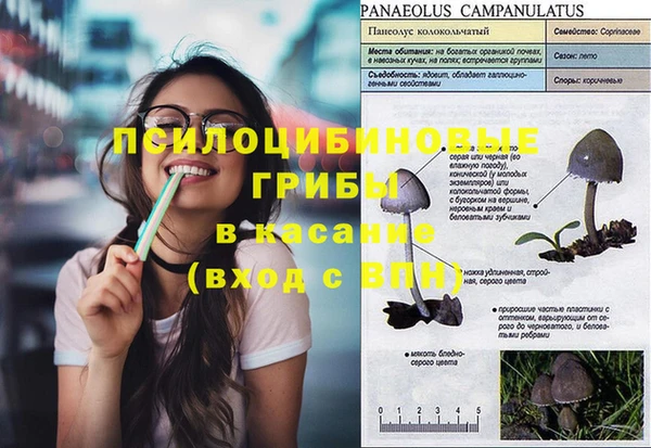 дурь Абинск